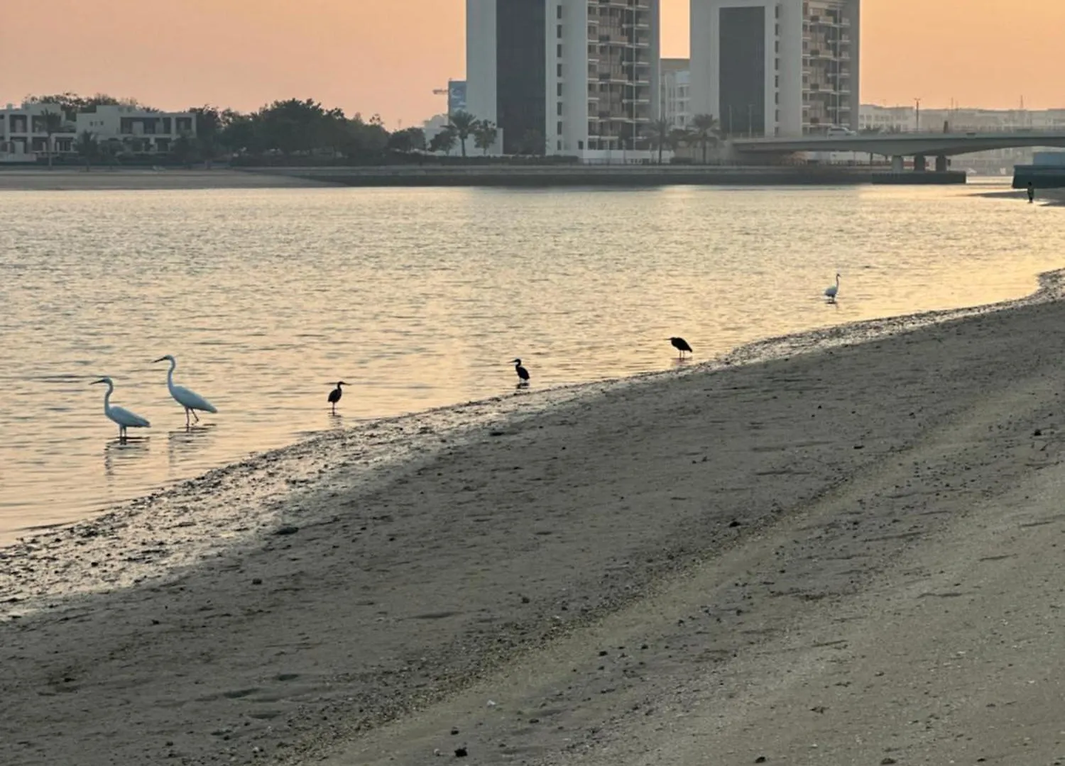 Wishes Luxury Villa In Front Of Beach Ras al-Khaimah United Arab Emirates